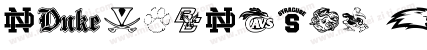 Richardson Brand Acc字体转换